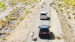 Beautiful Scene in Balochistan Pakistan