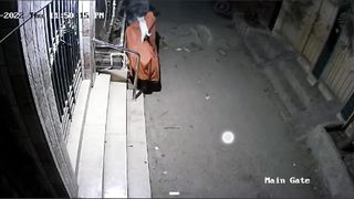 Scary Cat