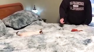 Funny video Ep 7