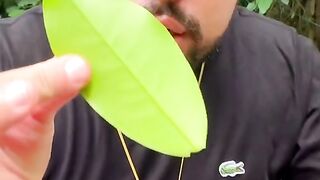 Magic Trick
