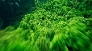 Green Valley