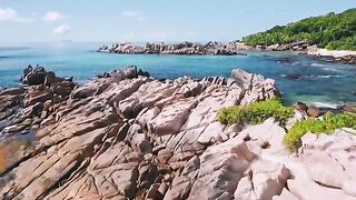 View of the Beach in the Daytime from a Drone