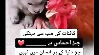Ahsas honay zaruri hai