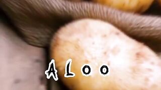 So funny song