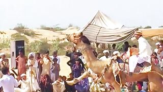 SR Best video Try 2023