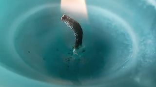 Zooming_into_a_candle