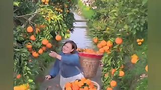 Oh No Oh No So Funny how to cut orange?#shortsfeed #shortvideos #youtubeshorts #shorts