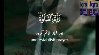 Iqra Tv ||Qari Syed Sohaib Kazim Muhammad Ul-Faisal