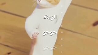 the best cats dancing ????????