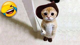 Funniest Cats and Dogs Videos ???? Best of Funny Animal Videos - 2023 #27