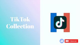 LES TIKTOK D'ANIMAUX QUI M'ONT FAIT LE PLUS RIRE EN 2021 ! (Compilation)