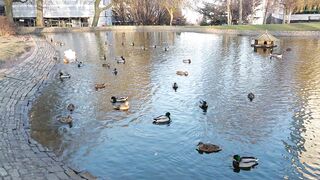 Weston Park