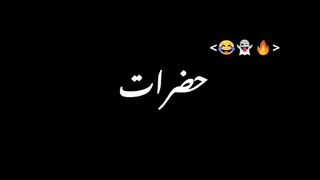 funny videos