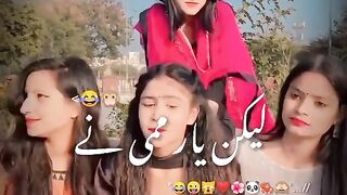 funny videos
