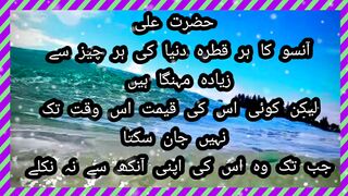 حضرت علی آنسو کا ہر قطرہ دنیا کی ہر چیز سے زیادہ مہنگا ہیں لیکن