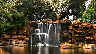 Relaxing Music, relaxing morning Music , meditation, study music , stress relief music