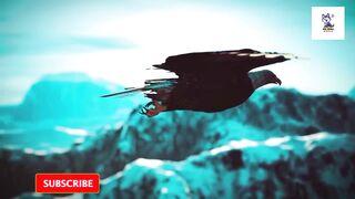 Most Dangerous Eagle Attacks Caught on Camera