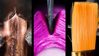 Super Macro Object-Taking pictures is savoring life intensely every hundredth of a second.