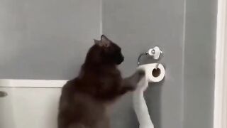 Funny TikTok compilation