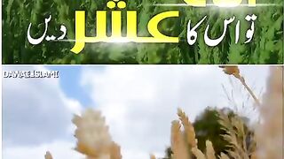 Allah ki Zameen