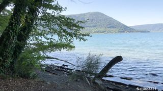 Relaxing with Nature Sounds at Forest River