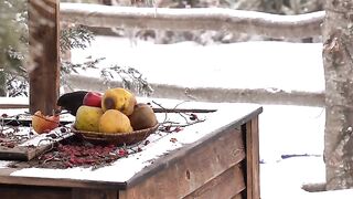 Village_Style_Buglama_-_Quick_and_Easy_Lamb_Dish