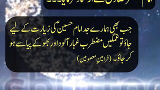 Urdu Aqwal | karbala ki ziyarat | Quotes of Masumeen