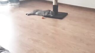 Мой пирожочек