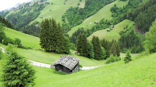 nature of Switzerland