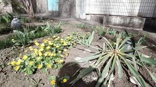 Весна пришла