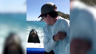Funniest Animals Try Not To Laugh Funny Domestic And Wild Animals' Life