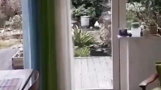 Котейка больше глазый