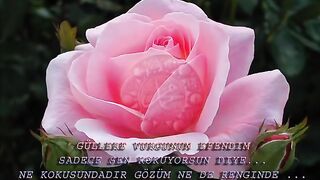 Sedat Ucan  Sevdım senı Mabuduma