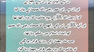 Sahih Bukhari || حدیث نمبر 1892