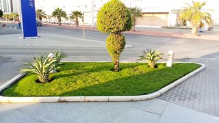 Best house decoration idea for you