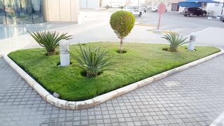 New house and garden Improvement idea for you