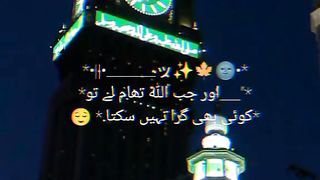 Whatsapp status