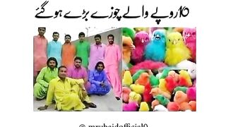 Just funny clip