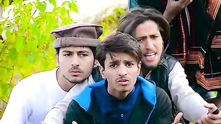 shadi karlo