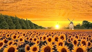 Beautiful nature of the world full video