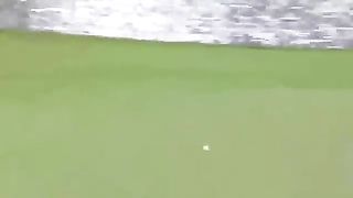 Insane goft shot????????????