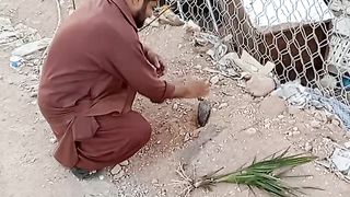 Look what this guy is doing