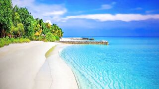 Beach Music | New Electro Music Mix |2023 New fun Music