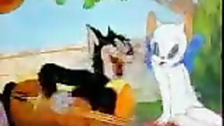 Funny cat singing