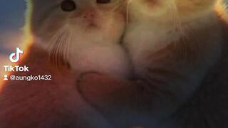 Tiktok viral video Romantic love song.