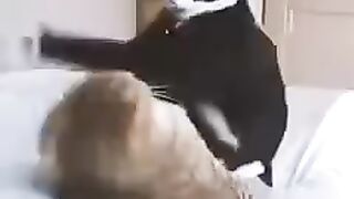 Look what this guy is doing