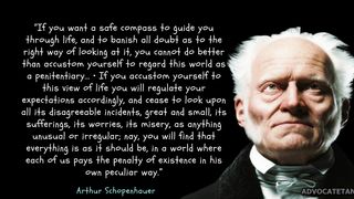 Arthur Schopenhauer's Quotes which are better known in youth to not to Regret in Old Age