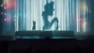 Funny cat dance