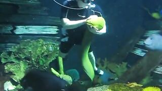 Fish love