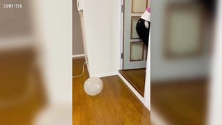 Funny Tik Tok Memes That Made The Whole Squad Laugh ????